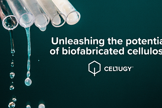 Why We Invested In Cellugy: A Sustainable Solution to Cellulose