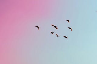 Are We Birds?