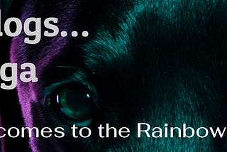 Two dogs… a saga of the Rainbow tribe