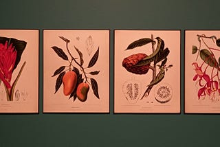 Ellas Ilustran botánica, en el Real Jardín Botánico de Madrid.