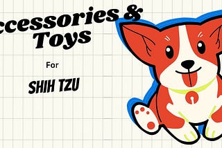 The Best Toys and Accessories for Your Shih Tzu