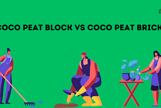 What is the Difference Between Coco Peat Block And Coco Peat Brick?