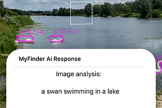 myfinder response to image analysis, a swan swimming in a lake