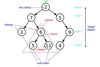Basic Understanding of Binary Tree