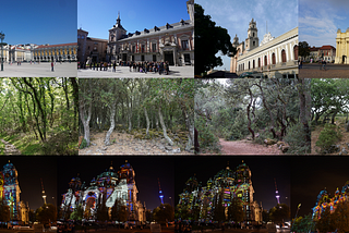 Similar images found within the test set, palaces, forest images and Cathedral in Berlin during the light festival