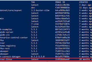 How to install sql server to docker