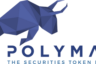 Polymath Town Hall #1— Development Update