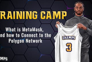 CHAMPS Training Camp: Day 3, MetaMask, and how to Connect to the Polygon Network