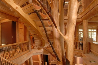 Tree House Staircase, Ostego Lake, New York