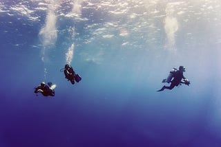 The Dive Industry in April 2021 — Newsletter