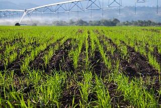 US Releases First National Action Plan on Responsible Business Conduct