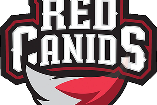 MSI 2022 Report: RED Canids (CBLOL representatives)