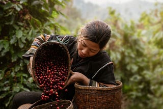 Ethical vs Fair Trade