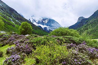 My Search for Shangri-La