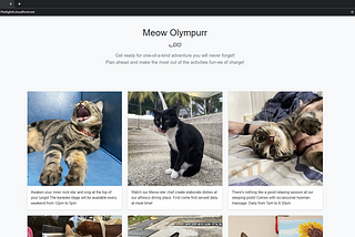 STF Secret of Meow Olympurr: Creating a CTF Challenge with Cat Pictures Part 2