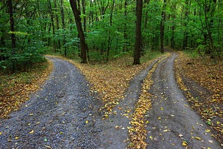 A Fork in the Road (Week #3 of “A Brief Pause”)