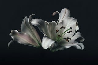 Death and Rebirth