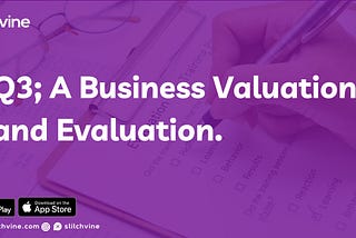 Q3: A Business Valuation and Evaluation.