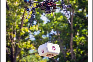 Innovative Partnerships: The Role of the Health Wagon in Pioneering Drone Delivery of Medications