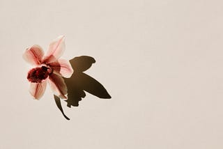 Intentional Noticing