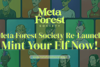 Meta Forest Society is Back!