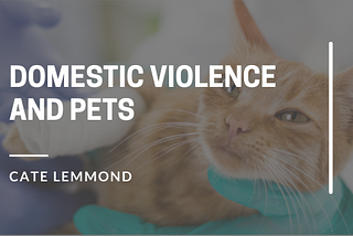 Domestic Violence And Pets