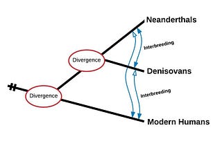 Who and What are the Denisovans?