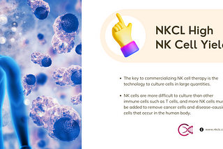 NKCL High NK Cell Yield
