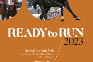 2023 NZB Ready to Run Sale Review