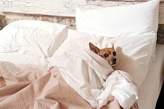 Hotel, Motel, Holiday Inn and Airbnb