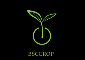 BSCCROP: Business Services Ecosystem Built on the Binance SmartChain