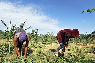 No escape for trafficked Mogobane girls