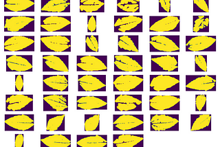 Transforming Theory into Practice: Applications of Image Processing in Machine Learning