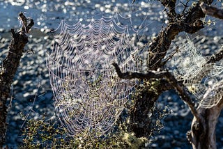 Matariki* Enspiral Winter Retreat, Riverslea Centre, Otaki, 2–4 July 2021