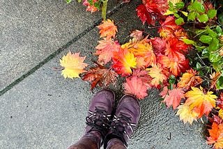 Photo of a person with colorful purple and orange patterned leggings and plum tennis shoes, standing on a rainy sidewalk next to brilliant golden orange leaves and green foliage.