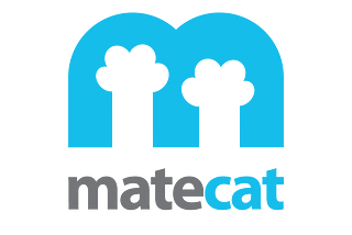 Leveraging Terminology Management in MateCAT for Enhanced Translation Consistency