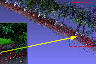 Yield Mapping in Apple Orchards