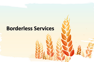 Introducing Borderless Services Inc.