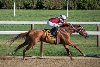 Racehorse flies down the track. Equestrian Marketing