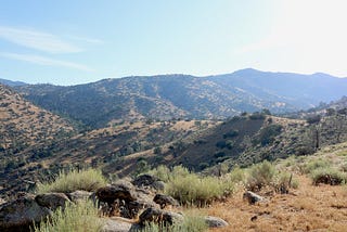 Protecting Caliente Creek: community-centered conservation