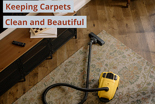 How do I keep my carpet clean and beautiful?