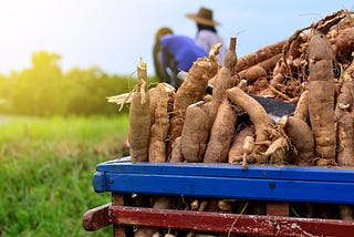 Cassava Leaf Disease Classification Using Convolutional Neural Networks