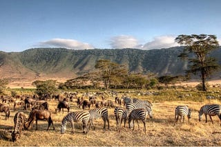 10 Unforgettable Things to See on Your Tanzania Safari.