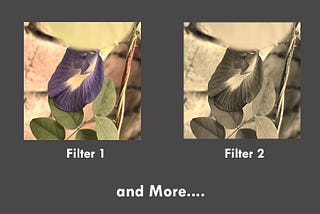 Image Filters in Flutter | No Package Required 💙