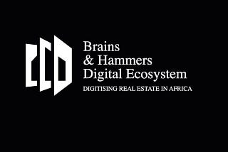Brains and Hammers Digital Ecosystem (Lite Paper)