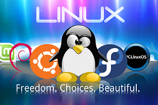The Beginners A Friendly Guide To Linux OS | Basic Commands