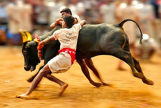 Jallikattu a.k.a Tamil Nadu’s Cattle Rearing Science