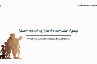 Cardiovascular ageing is a progressive process that impacts the heart and the vascular system…