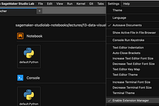 How to display Plotly visualizations in Amazon Sagemaker Studio Lab