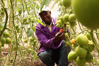 How farmer transformed his farm into a thriving enterprise in 18 months